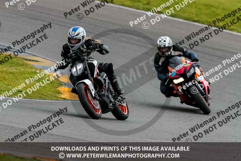 PJ Motorsport 2019;anglesey no limits trackday;anglesey photographs;anglesey trackday photographs;enduro digital images;event digital images;eventdigitalimages;no limits trackdays;peter wileman photography;racing digital images;trac mon;trackday digital images;trackday photos;ty croes